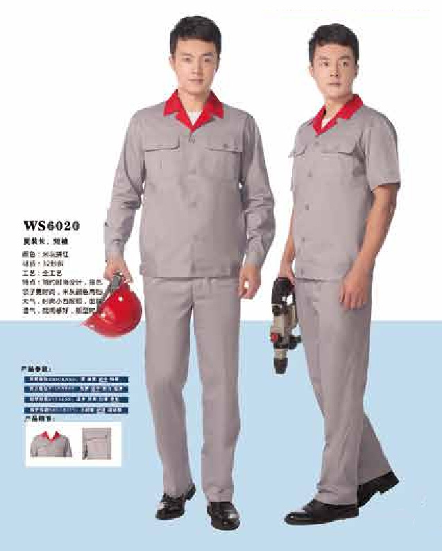 WS6020